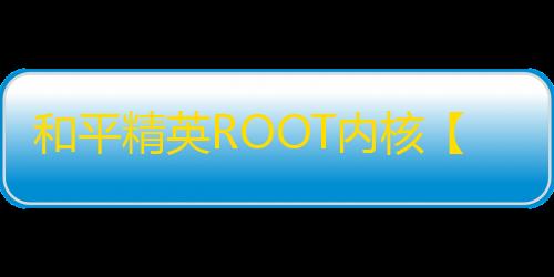 和平精英ROOT内核【不求人内核】外挂